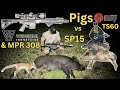 Tube ts60 pig and fox shooting with mpr 308 and sp15