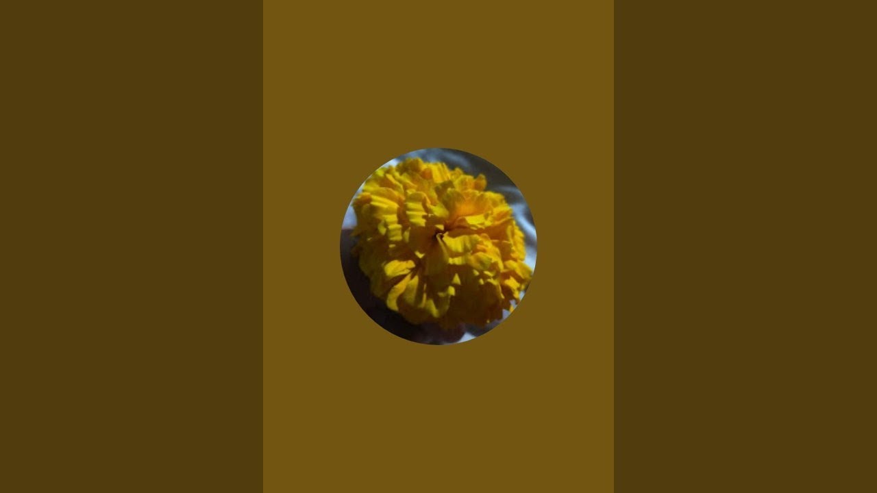 একটু আড্ডা দিবো