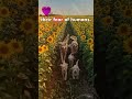 Where the Gold Gathers: The Ultimate Golden Family! | Golden Heaven: An Epic Drone View of the Pack!