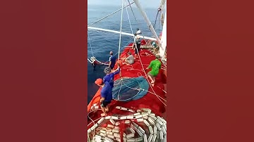 Khai Thác Cá Trên Biển Của Ngư Dân Phú Yên