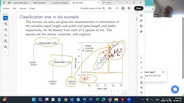 Statistical Data Mining
