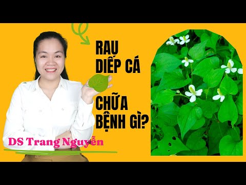 Nước ép rau