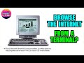 Atari 2600, Wyse Terminal, Packard Bell Monitor