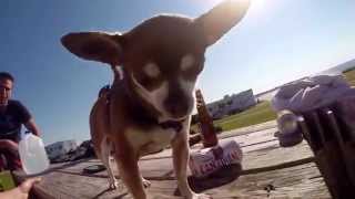 Wicked Summer Edit 2014 / GoPro Hero 3+