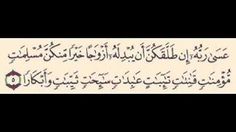 مقطع من سوره التحريم للشيخ حربى عز