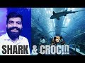 Dubai Aquarium - SHARKS 🦈  - CROC 🐊  - Underwater Zoo!!