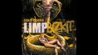 Limp Bizkit - 90.2.10 [Gold Cobra 2011 HD-HQ]