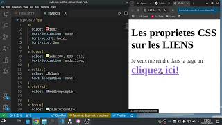 Appliquer différentes tailles de police (rem, %, px) avec CSS | font-size sur un lien HTML