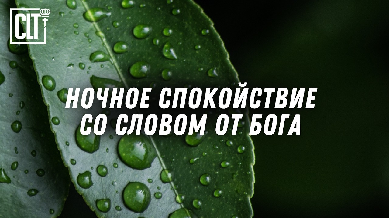 Найдите покой и защиту в Его обетованиях, подготовив свою душу к глубокому и спокойному сну #Библия