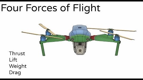 Four Forces of Flight