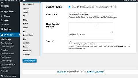WP Content - Autoblogging The Works