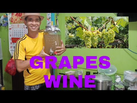 PAANO PAG GAWA NG GRAPES WINE...