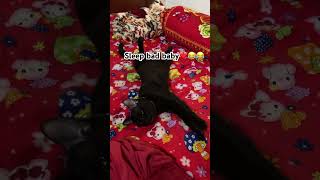 ដេក​អាក្រក់​ណាស់​កូន​??❤️️​ Sleep bad baby​ catlover  blackcat  cats