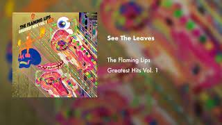 Watch Flaming Lips See The Leaves video