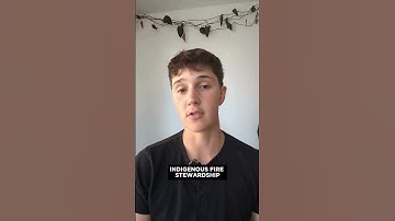 The dangerous wildfire myth logging companies love to push