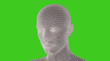 HEAD   GREEN SCREEN CHROMAKEY