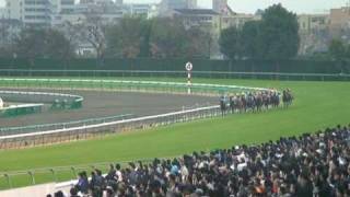 20091205 ステイヤーズステークス フォゲッタブル Stayers Stakes Fogettable 02.avi