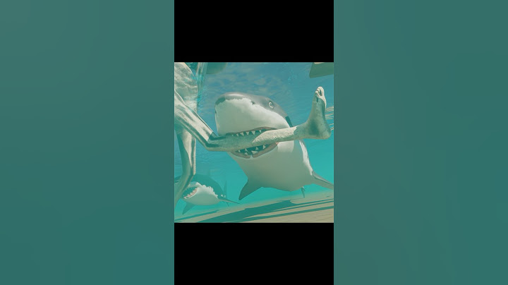The sharks attacked Zookeeper! #shark #zoonomaly #catnap #dogday