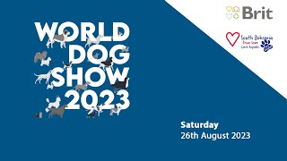 WDS 2023 - Saturday