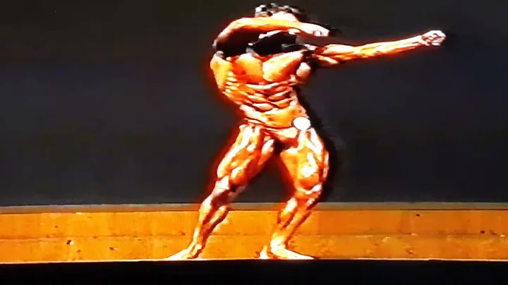 Karl Link - EM - 1987