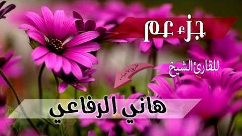 جزء عم للقارئ هاني الرفاعي