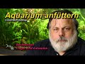 Einfahrzeit - Kann man ein frisch aufgesetztes Aquarium durch "Anfüttern" schneller einfahren? Mp3 Song
