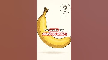 The Real Reason Bananas Are Curved Will Blow Your Mind!