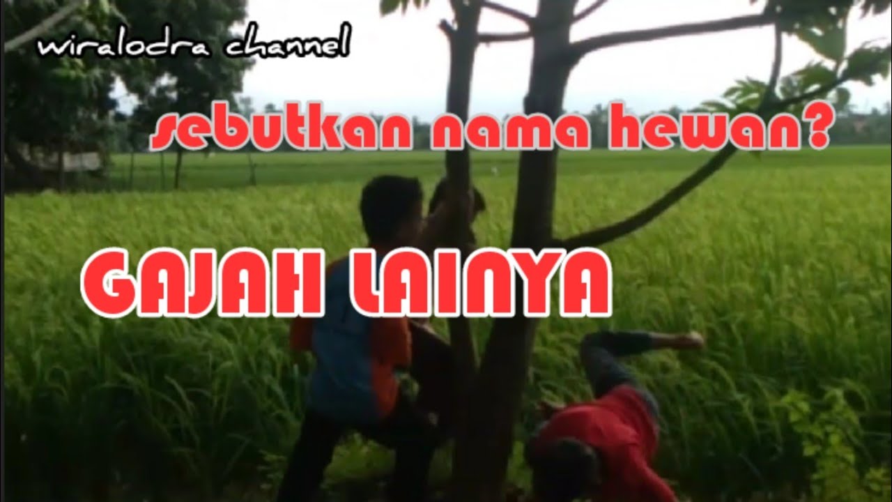  SEBUTKAN  NAMA  HEWAN  Film bocah tumbak macan YouTube