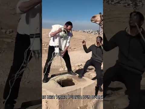 #Judean Desert #Bedouins #Dead Sea#