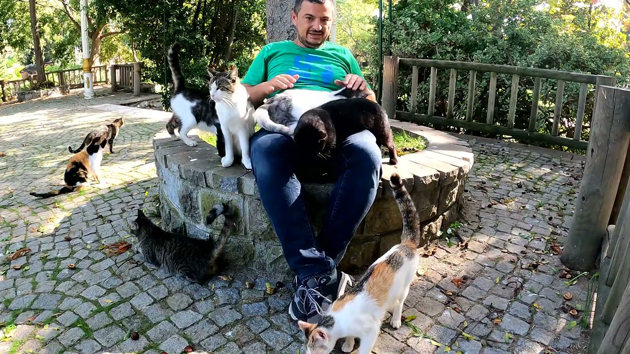 A man who finds love, happiness, peace, joy, and loyalty in the cats he holds in his arms.