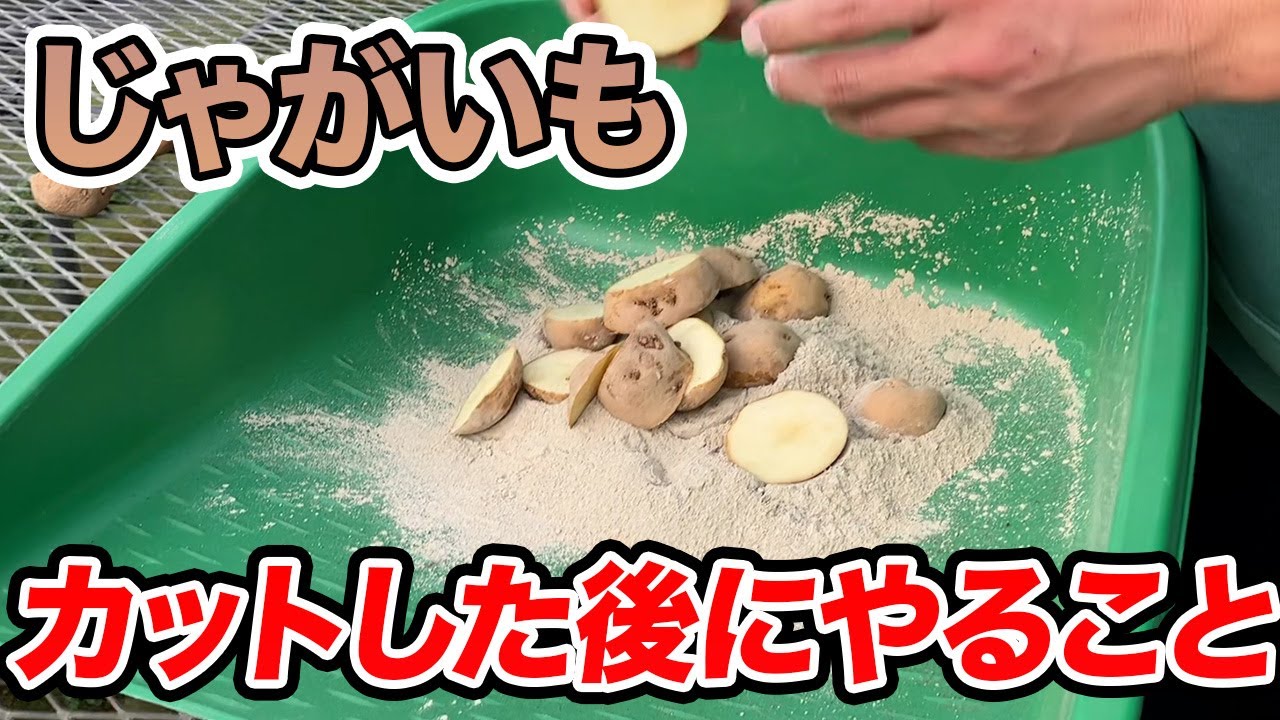 【じゃがいも】カットした後に必ずやること　草木灰は使ってはいけないのか
