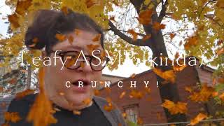 Lying YouTubers and Pity Marketers - A Writing Vlog