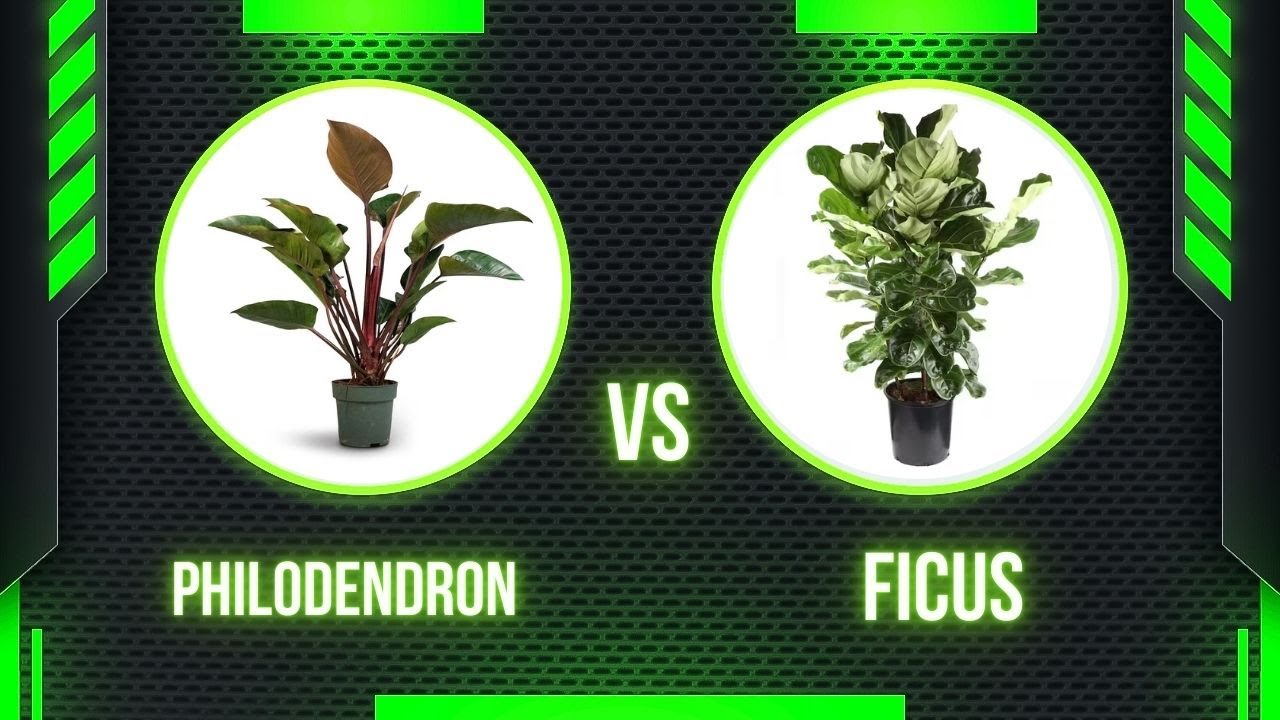 3d print plants 3D Printed Plant Pot and Air Plant Holder – Stylish, Durable, Eco-Friendly, Modern Design, Indoor & Outdoor Use, Multiple Sizes & Colors, Lightweight main image 0