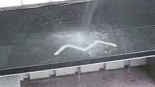 鳥類忌避剤【ハートジェル】Lot４７降雨テスト