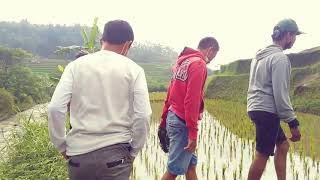 PUISI SUNDA - Kamana Endahna Alam (Karya Kustian)