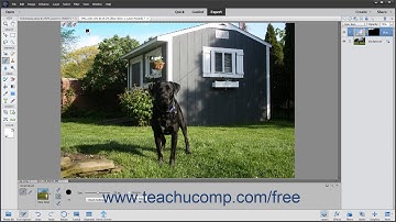 Photoshop Elements 2020 Tutorial The Smart Brush Tools Adobe Training