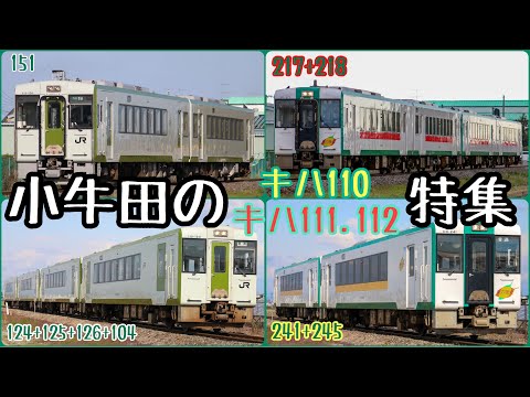 小牛田のキハ110&キハ111.112特集！【石巻線・気仙沼線・陸羽東線