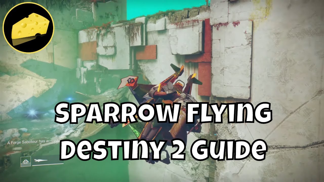 Sparrow Flying Guide 