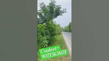 siwan to Patna Highway.. #property  #propertyforsale #siwanbihar