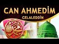 İlahi - Sultanım Günahkarım Neyleyim, Ferman Ver Medine