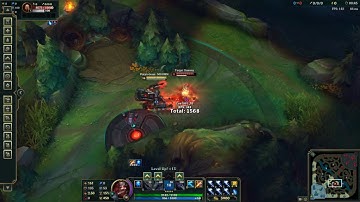 Skarner E bug