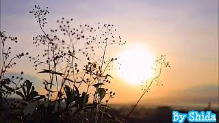 Lagu Jamal Abdillah - Syukur #liriklagu #jamalabdillah