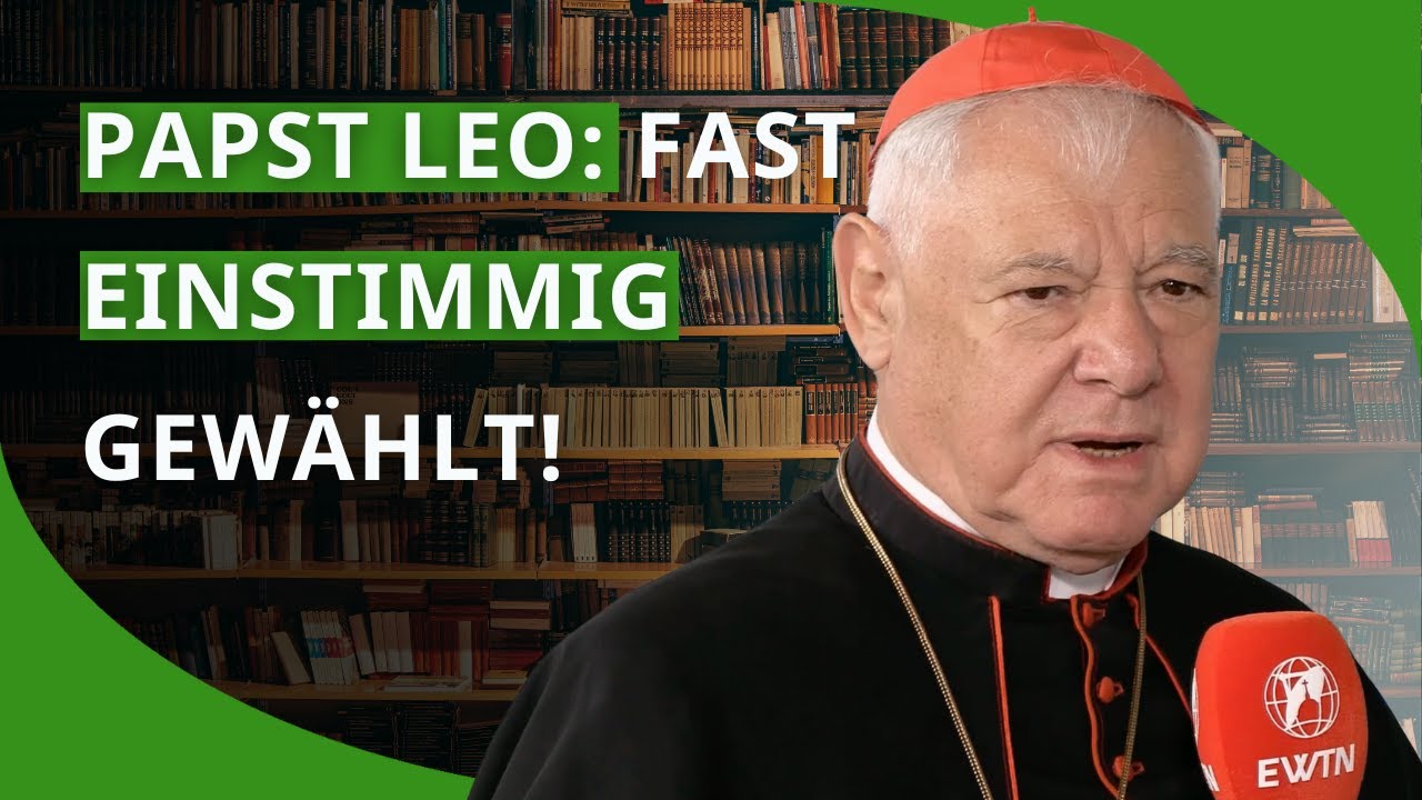 "Der Papst - Auftrag und Sendung" von Kardinal Gerhard Ludwig Müller | Nimm und lies!