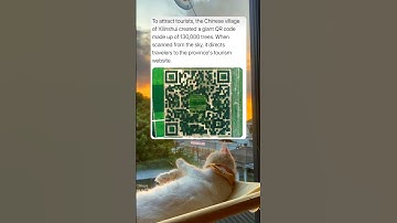 To attract tourists, the Chinese village of Xilinshui created a giant QR code made up of 130k trees