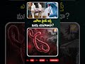 ఎబోలా వైరస్ వస్తే మనిషి చనిపోతాడా? #EbolaVirus #Awareness #NewVirus #HealthUpdates #HealthTips