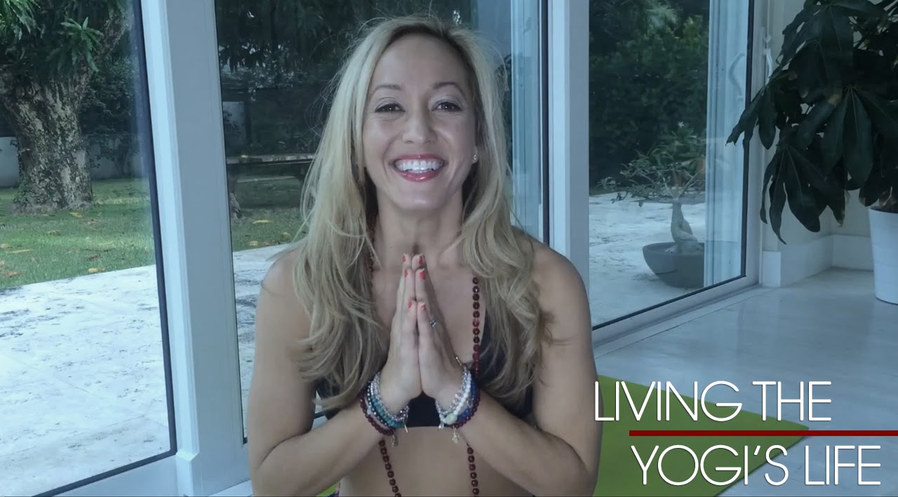 yogibo Living The Yogi's Life: Yoga Sports Bra Stylehaul