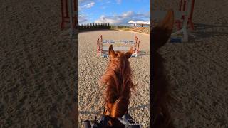 Как мы шли к Кубку Победы. #конкур #horse #конный_спорт #лошади #верховая_езда #кони