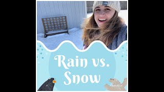 Cold Snap Science: Snow vs. Rain