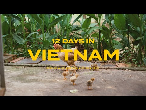 12 days in Vietnam – pt. 1: village, Huế, a bit of Đà Nẵng & Hội An 🇻🇳 ♥️
