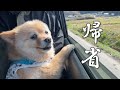 【ご報告】家庭の事情で福島の実家に帰ることになりました…